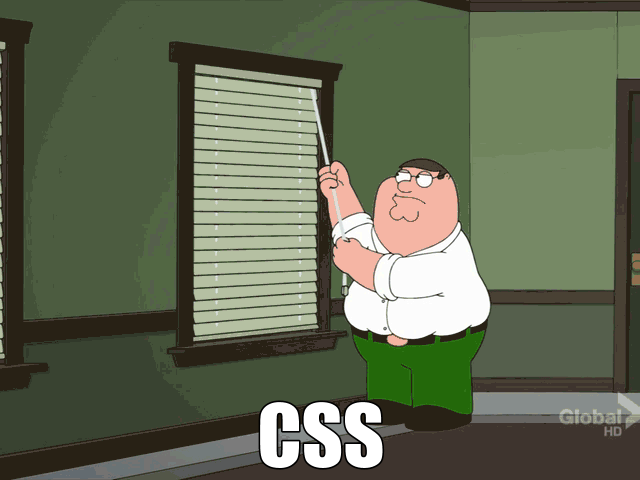 css in a nutshell